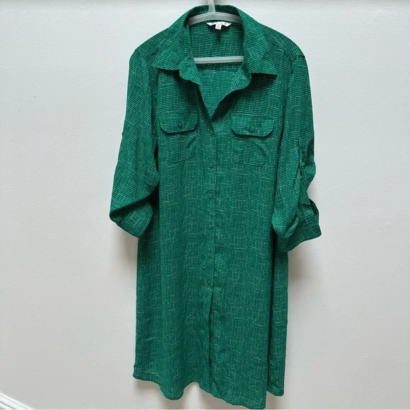 CAbi Green Casual Button Down Shirt Dress - Picture 1 of 5